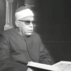 محمود عبدالحكم
